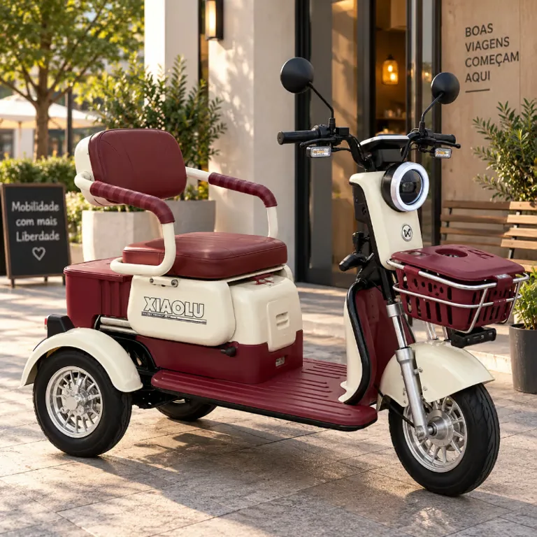 Triciclo elétrico XIAOLU X3